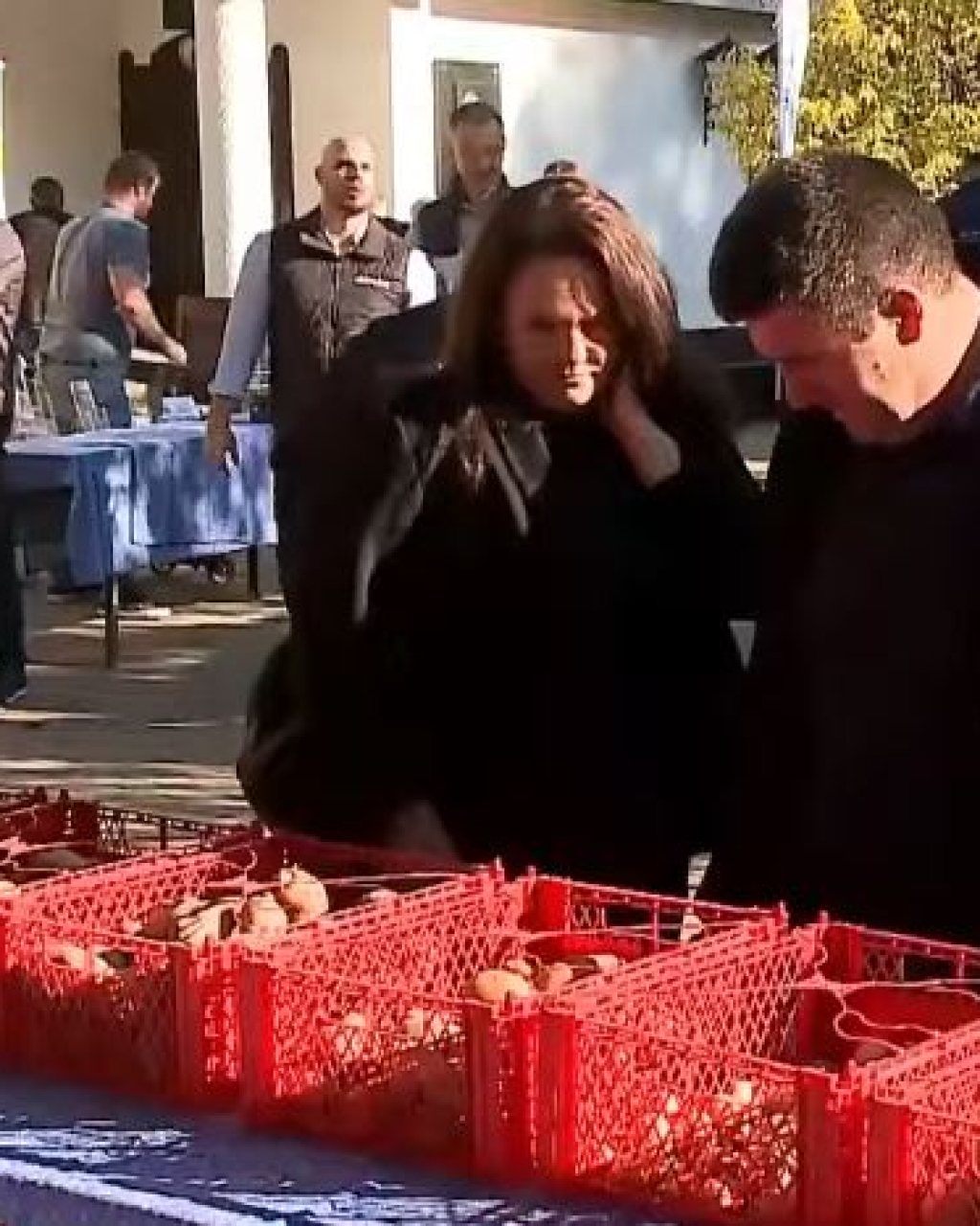 XII. Kiskunhalasi Burgonya Napok - Halasmédia tudósítás